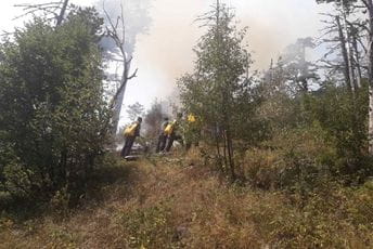 Požar se širi ka kanjonu Tare, novi na vrhu Međeda u NP Durmitor Požar se širi ka kanjonu Tare, novi na vrhu Međeda u NP Durmitor