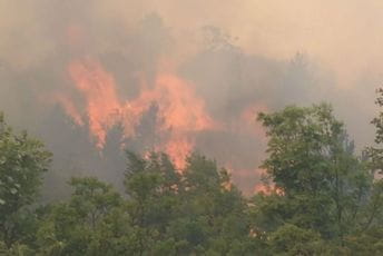 Nikšićki vatrogasci spašavali kuće od vatrene stihije Nikšićki vatrogasci spašavali kuće od vatrene stihije