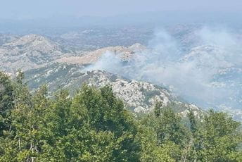 Aktivan požar na Bukovici u NP Lovćen, sumnja se da je podmetnut Aktivan požar na Bukovici u NP Lovćen, sumnja se da je podmetnut