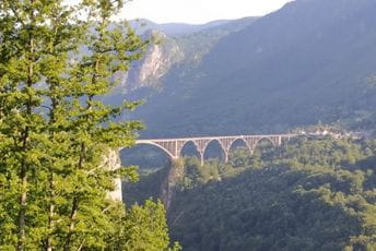 UP: Za sada ništa ne ukazuje na djelovanje sekte, društvena zajednica da obrati pažnju na identifikovanje i rješavanje problema mladih Ilustracija