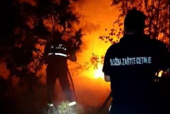 Na Lovćenu se bore da požar ne zahvati borovu šumu, pomažu i dobrovoljci Na Lovćenu se bore da požar ne zahvati borovu šumu, pomažu i dobrovoljci