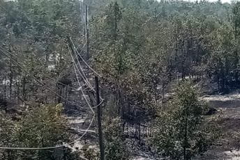 CEDIS: Požari ugrozili elektrodistributivne objekte i mrežu CEDIS: Požari ugrozili elektrodistributivne objekte i mrežu