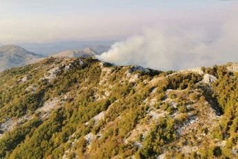 Požar u NP Lovćen ponovo aktivan Požar u NP Lovćen ponovo aktivan