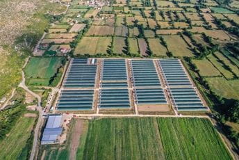 Ovog ljeta prodato sve što je ponuđeno tržištu Ovog ljeta prodato sve što je ponuđeno tržištu