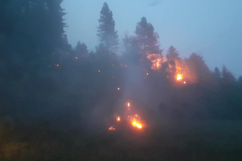 Požar u Brajovači stavljen pod kontrolu Požar u Brajovači stavljen pod kontrolu
