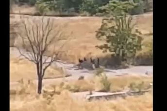 Sekulović odgovorio Konjeviću: Helikopterom MUP-a napravljen uvid u stanje na požarištima Sekulović odgovorio Konjeviću: Helikopterom MUP-a napravljen uvid u stanje na požarištima