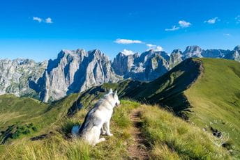 (VIDEO) Pogledajte kadrove NP Prokletije (VIDEO) Pogledajte kadrove NP Prokletije
