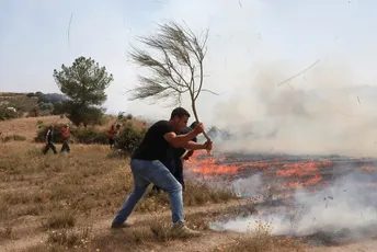 Požari haraju Španijom, u 13 pokrajina proglašena katastrofa Požari haraju Španijom, u 13 pokrajina proglašena katastrofa