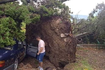 Posljedice nevremena u Tivtu: Vjetar čupao stabla, oštećena i dva automobila Posljedice nevremena u Tivtu: Vjetar čupao stabla, oštećena i dva automobila