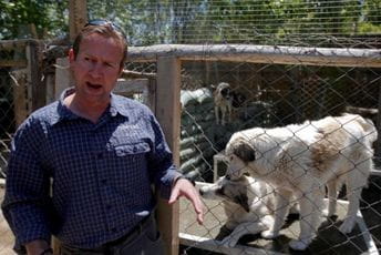 Britanski marinac evakuisao 200 mačaka i pasa iz Kabula Pen Farting