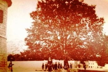 CHO: Raonić da podnese ostavku ili bude smijenjen, razloga za to je na pretek CHO: Raonić da podnese ostavku ili bude smijenjen, razloga za to je na pretek