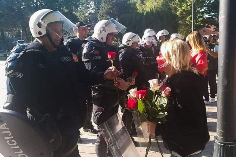 Ruže za „kornjače“ kao izraz mira i ljubavi (VIDEO) Ruže za „kornjače“ kao izraz mira i ljubavi (VIDEO)