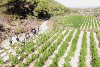 Novo utočište narko-bandi su crkve po Španiji Novo utočište narko-bandi su crkve po Španiji