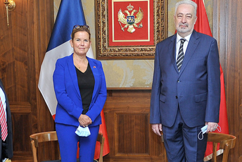 Krivokapić: Jedino ekspertska Vlada može uspješno da vodi demokratsku tranziciju Krivokapić: Jedino ekspertska Vlada može uspješno da vodi demokratsku tranziciju