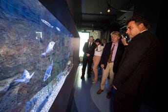 U Kotoru svečano otvoren "Akvarijum Boka" U Kotoru svečano otvoren "Akvarijum Boka"