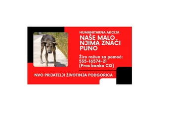 NVO Prijatelji životinja: Humanitarna akcija "Naše malo njima puno znači" NVO Prijatelji životinja: Humanitarna akcija "Naše malo njima puno znači"