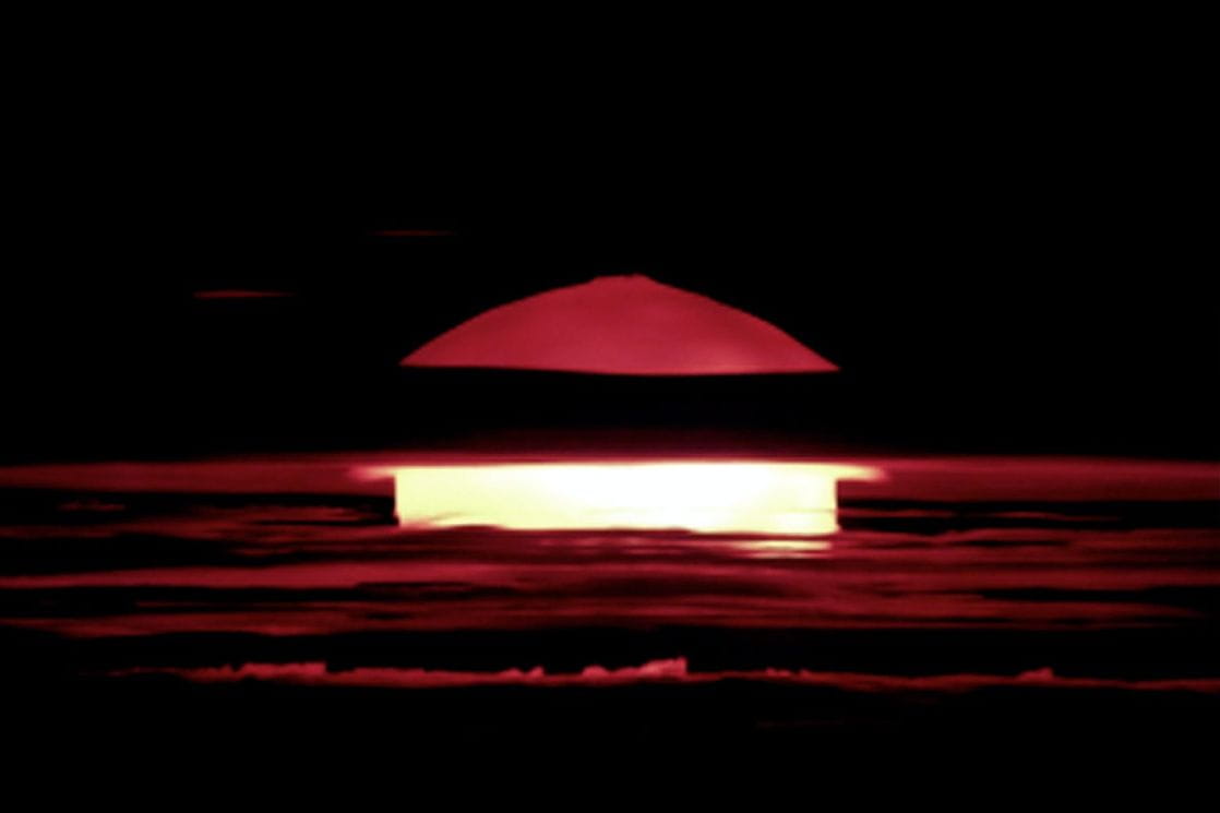 Nobelovac tvrdi da čovječanstvo možda neće preživjeti sljedećih 50 godina, ovo su njegovi razlozi