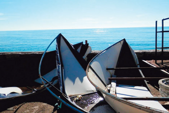 Ogoljavanje Ogoljavanje