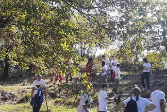 U park šumi Trebjesa zasađeno 710 stabala drveća U park šumi Trebjesa zasađeno 710 stabala drveća