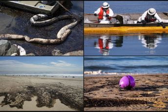 Ekološka katastrofa: Nafta progutala plaže Kalifornije Ekološka katastrofa: Nafta progutala plaže Kalifornije