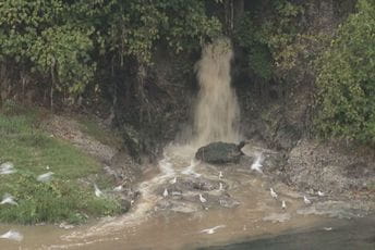 Morača promijenila boju zbog otpadnih voda Morača promijenila boju zbog otpadnih voda