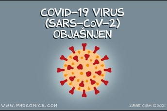 Šta je zapravo COVID-19 – naučno objašnjenje kroz ilustracije Šta je zapravo COVID-19 – naučno objašnjenje kroz ilustracije