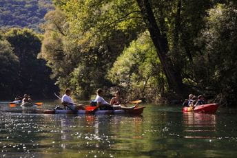 Pustoš u raju! Pustoš u raju!