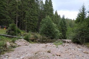 Slovačka pomaže obnovu parka u Rožajama Slovačka pomaže obnovu parka u Rožajama