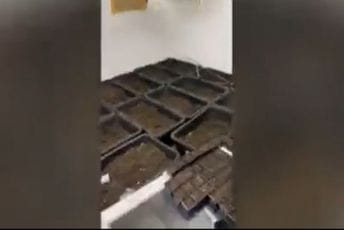 U Dobroj Vodi uzgajali marihuanu u laboratoriji (VIDEO) U Dobroj Vodi uzgajali marihuanu u laboratoriji (VIDEO)