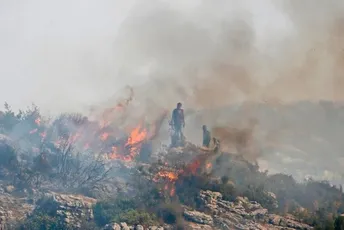 Pogubljene 24 osobe osuđene za podmetanje šumskih požara Pogubljene 24 osobe osuđene za podmetanje šumskih požara