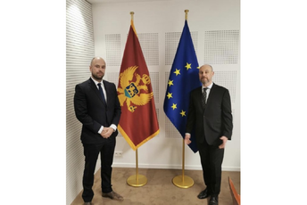 Radulović: EU cijeni apsolutnu usklađenost sa zajedničkom spoljnom i bezbjednosnom politikom Radulović: EU cijeni apsolutnu usklađenost sa zajedničkom spoljnom i bezbjednosnom politikom