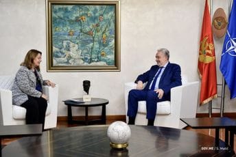 Krivokapić-Rajnke: Ekonomski razvoj preduslov za kvalitet demokratije Krivokapić-Rajnke: Ekonomski razvoj preduslov za kvalitet demokratije