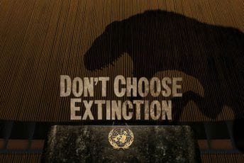 UNDP: Na svaki dolar uložen u rješavanje klimatske krize u najsiromašnijim zemljama svijeta, četiri dolara idu na subvencije za fosilna goriva UNDP: Na svaki dolar uložen u rješavanje klimatske krize u najsiromašnijim zemljama svijeta, četiri dolara idu na subvencije za fosilna goriva