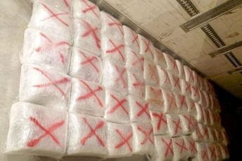 U Srbiji zaplijenjen 321 kilogram marihuane, uhapšena i dva državljana Crne Gore U Srbiji zaplijenjen 321 kilogram marihuane, uhapšena i dva državljana Crne Gore