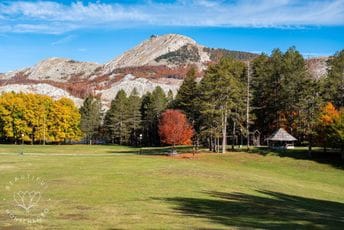 Sindikat NP nakon smjene Kljajević: Spriječiti blokadu računa i zadržati radnike Ilustracija