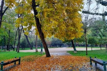 Moguć i snijeg: Danas suvo, sjutra pogoršanje vremena Moguć i snijeg: Danas suvo, sjutra pogoršanje vremena