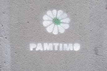 Grafiti "Cvijeta Srebrenice” i natpisi ,,Pamtimo" osvanuli u Beogradu Grafiti "Cvijeta Srebrenice” i natpisi ,,Pamtimo" osvanuli u Beogradu