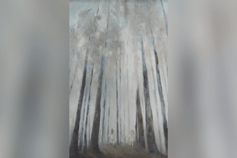 Brojanica: soj-nesoj Brojanica: soj-nesoj