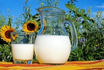Evo koja vrsta mlijeka obezbjeđuje dovoljno proteina