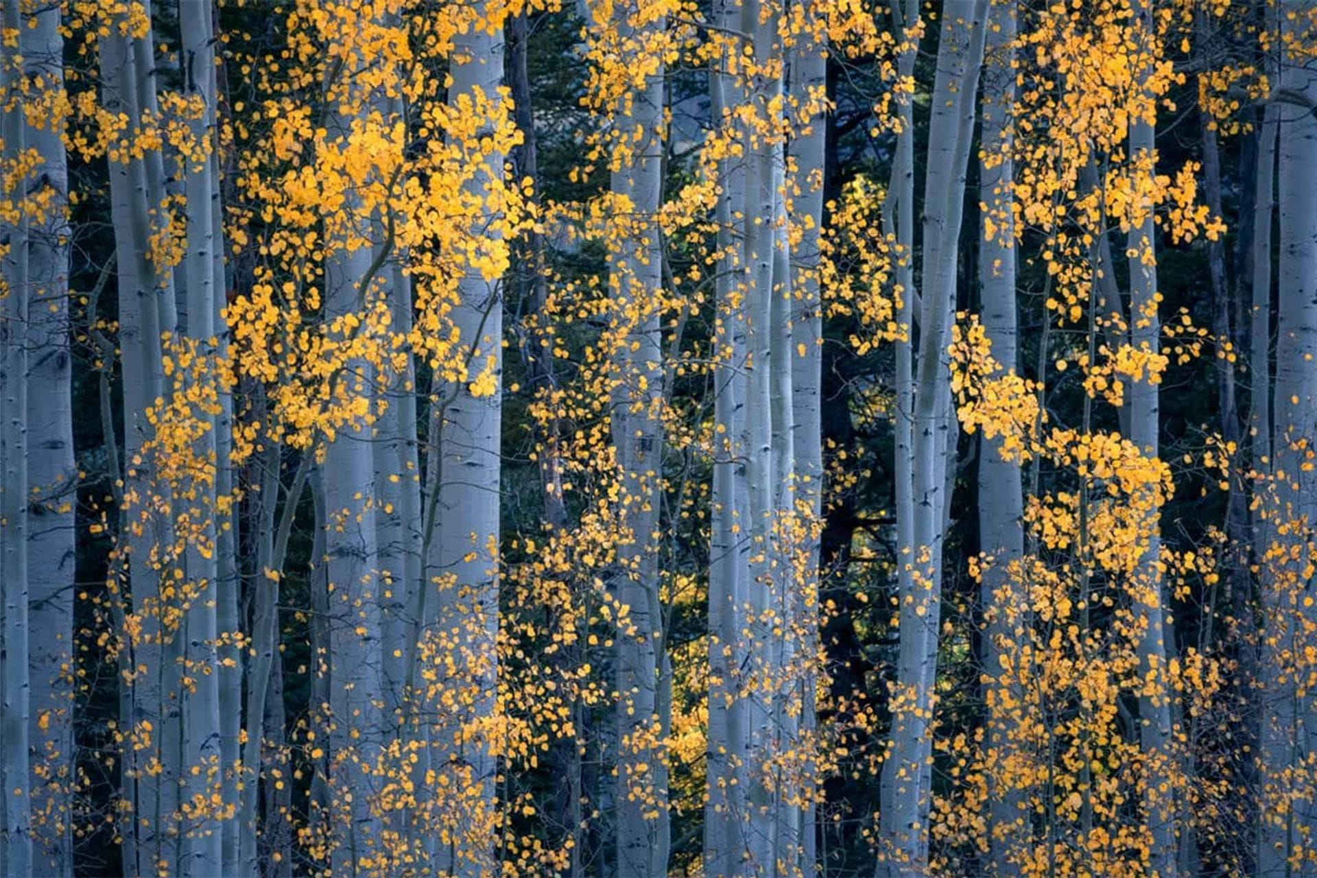 Fotografija 1: Jesenji pejzaži sa različitih područja (FOTO)