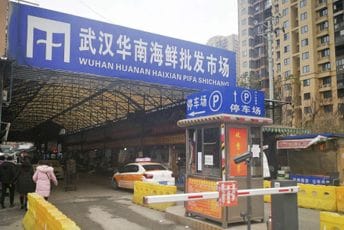 Naučnici tvrde da su otkrili ko je prva osoba koja se zarazila koronavirusom Pijaca morskih plodova Huanan u Vuhanu