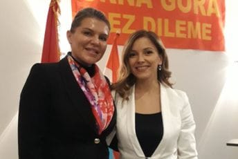 SDP: Dijaspora sa proevropskim partijama željela da razgovara o izlasku iz krize SDP: Dijaspora sa proevropskim partijama željela da razgovara o izlasku iz krize