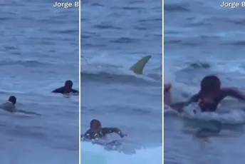 Zastrašujući susret: Ajkula iznenadila surfere u Portoriku (Video) Zastrašujući susret: Ajkula iznenadila surfere u Portoriku (Video)