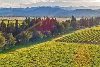 Plantaže u blokadi zbog duga Tuzima Plantaže u blokadi zbog duga Tuzima