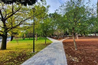 U Podgorici za tri godine sanirano ili uspostavljeno 150 hiljada kvadrata zelenih površina U Podgorici za tri godine sanirano ili uspostavljeno 150 hiljada kvadrata zelenih površina