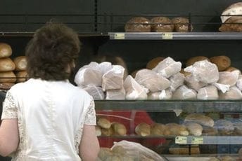 Nikolić: Pekari u alarmantnoj situaciji Nikolić: Pekari u alarmantnoj situaciji