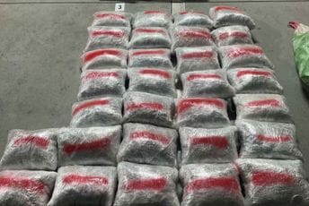 Na Vraćenovićima zaplijenjeno preko 120 kg marihuane Ilustracija