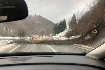 Na putu Kolašin-Podgorica saobraćaj u prekidu, vjetar oborio stablo Na putu Kolašin-Podgorica saobraćaj u prekidu, vjetar oborio stablo