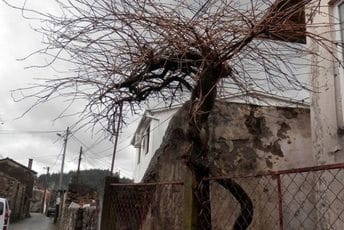 Imati ili biti Moranje