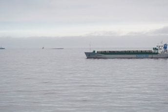 Sudar brodova: Uhapšeni Hrvat i Britanac, sumnja se da su bili pijani Sudar brodova: Uhapšeni Hrvat i Britanac, sumnja se da su bili pijani